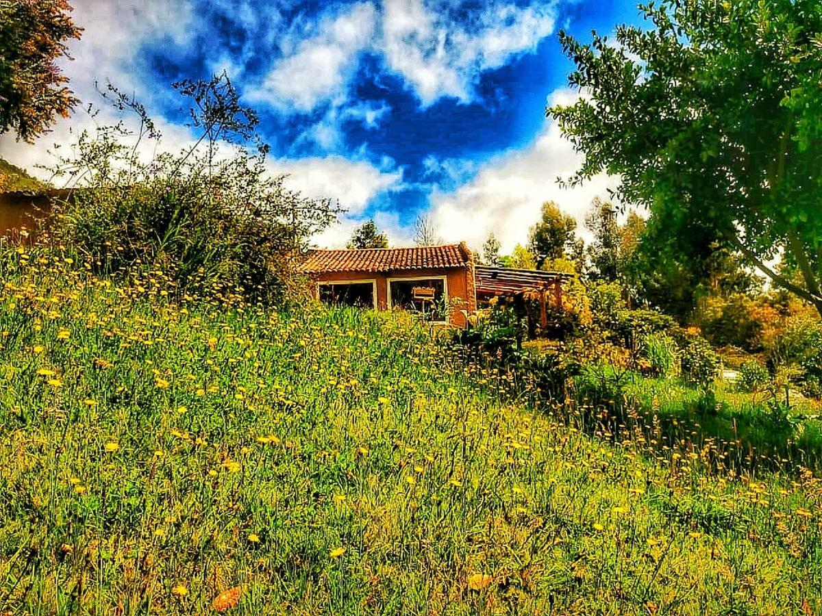 The Naked House - Hotel Nudista Nemocon Dış mekan fotoğraf